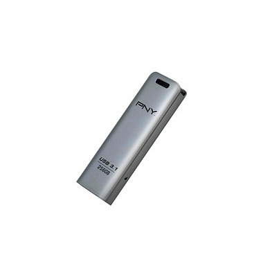 USB-Stick Elite Steel silber 256 GB