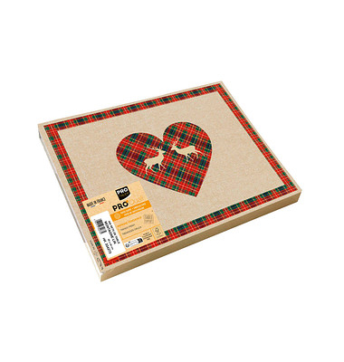 400 PROnappe Platzsets Berg Leinen mehrfarbig 30,0 x 40,0 cm