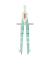 Zirkel mint