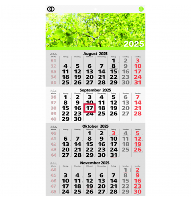 Viermonatskalender 5103-25, oeco, 4 Monate / 1 Seite, 33x58,8cm, 2026