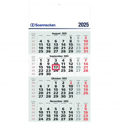 Viermonatskalender 5097-25, 4 Monate / 1 Seite, 30x60cm, 2026