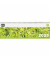 Schreibtischquerkalender 5101-25, oeco, 1 Woche / 1 Seite, 29,6x9,9cm, 2025