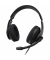 Headset HS-USB300 V2 00139935