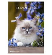 Bildkalender 103476, Katzen, 1 Monat / 1 Seite, 23,7x34cm, 2025