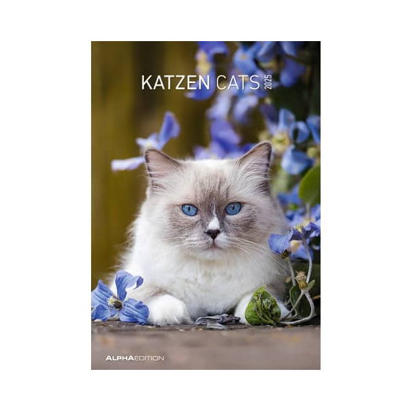 4069095004931 - Bildkalender 103476 Katzen 1 Monat 1 Seite 237x34cm 2025 4069095004931 ALPHA EDITION 4069095004931 - Bildkalender 103476 Katzen 1 Monat 1 Seite 237x34cm 2025 4069095004931 ALPHA EDITION