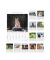 Bildkalender 103476, Katzen, 1 Monat / 1 Seite, 23,7x34cm, 2025