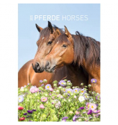 Bildkalender 103477, Pferde, 1 Monat / 1 Seite, 23,7x34cm, 2025