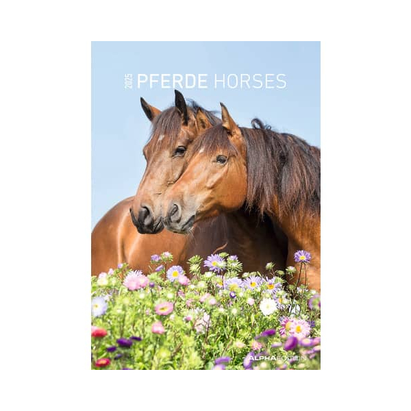 4069095004894 - Bildkalender 103477 Pferde 1 Monat 1 Seite 237x34cm 2025 4069095004894 ALPHA EDITION 4069095004894 - Bildkalender 103477 Pferde 1 Monat 1 Seite 237x34cm 2025 4069095004894 ALPHA EDITION