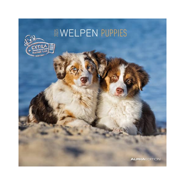 4069095009400 - Bildkalender 103531 Hundewelpen 1 Monat 2 Seiten 30x60cm 2025 4069095009400 ALPHA EDITION 4069095009400 - Bildkalender 103531 Hundewelpen 1 Monat 2 Seiten 30x60cm 2025 4069095009400 ALPHA EDITION