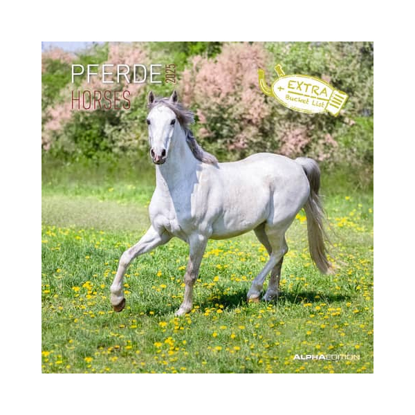 4069095003033 - Bildkalender 103536 Pferde 1 Monat 2 Seiten 30x60cm 2025 4069095003033 ALPHA EDITION 4069095003033 - Bildkalender 103536 Pferde 1 Monat 2 Seiten 30x60cm 2025 4069095003033 ALPHA EDITION
