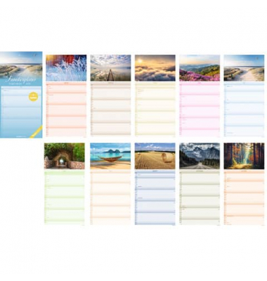 Familienkalender 103874, Inspiration, 1 Monat / 1 Seite, 5 Spalten, 22x45cm, 2026
