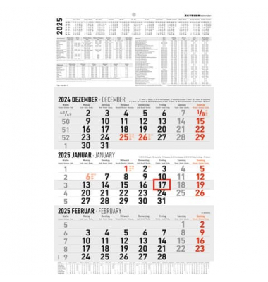Dreimonatskalender 602371, 3 Monate, 30x48,7cm, 2025