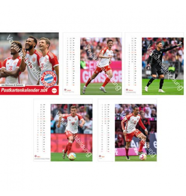 Bildkalender 21043, FC Bayern , 1 Monat / 1 Seite, 16x17cm, 2025 Bildkalender 21043, FC Bayern , 1 Monat / 1 Seite, 16x17cm, 2025