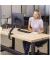Monitorschwenkarm Platinum, Einzel, für: 81,28 cm, schwarz