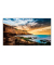 QE43T UHD-Display 107,9 cm (42,5 Zoll)