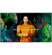 QH43C UHD-Display 107,95 cm (42,5 Zoll)