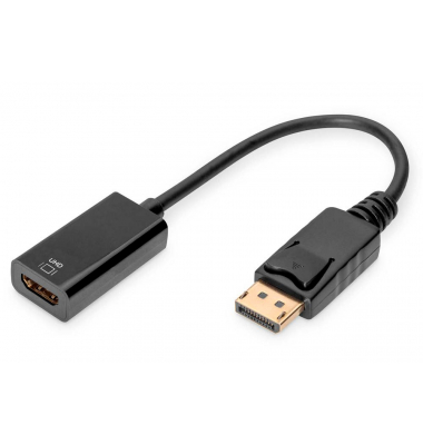 AK-340415-002-S  HDMIDisplayPort Adapter