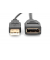 AK-330101-002-S  DisplayPort 1.2HDMI Adapter