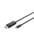 USB-C-SteckerDisplayPort-Stecker Kabel AK-300334-020-S 2,0 m schwarz