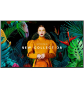 QB43C UHD-Display 107,95 cm (42,5 Zoll)