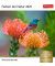 Bildkalender 3309952, Farben der Natur, 1 Woche / 1 Seite, 16x17,5cm, 2026