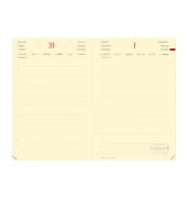 Buchkalender 375012Q, Daily 21, schwarz, 1 Tag / 1 Seite, 13x21cm (A5), 2025