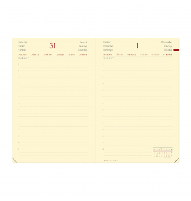 Buchkalender 375012Q, Daily 21, schwarz, 1 Tag / 1 Seite, 13x21cm (A5), 2025