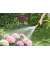 Gartenbrause