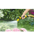 Gartenbrause