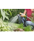Gartenbrause Multifunktions-Spritzpistole Plus