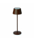 Tischleuchte MAULnina 8190877 LED Akku br