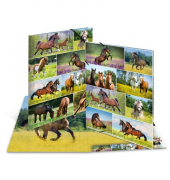 Sammelmappe Tierwelten Glossy 19452, A3 mehrfarbig, 0,4cm - 2cm F&uuml;llh&ouml;he, Karton