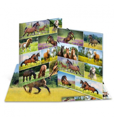 Sammelmappe 19452, A3 farbig, Karton