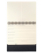 Tischquerkalender C2581, Conceptum, 1 Monat / 2 Seiten, 21,3x22cm (BxH) (A5 quer), 2025