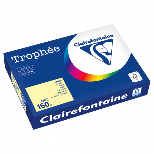 3329680002690 - Kopierpapier Trophee 2636PC gelb A4 160g 250 Blatt 3329680002690 250 Blatt