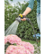Gartenbrause Premium