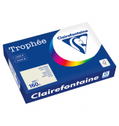 Kopierpapier Trophee 1041PC grau A4 160g 