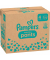 Windeln baby-dry™ Monatsbox Größe Gr.4 (9-15 kg) für Babys und Kleinkinder (4-18 Monate)
