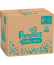 Windeln baby-dry™ Monatsbox Größe Gr.4 (10-15 kg) für Babys und Kleinkinder (4-18 Monate)