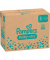 Windeln baby-dry™ Monatsbox Größe Gr.5 (11-16 kg) für Babys und Kleinkinder (4-18 Monate)