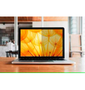  Display-Blickschutzfolien 7100288106, transparent/schwarz