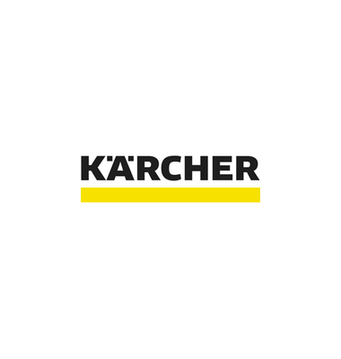 CarpetPro RM760 Teppichreiniger 0,8 kg