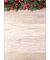 Weihnachtsbriefpapier Weihnachtssterne / Tannenzweige Chalet Style DP442, A4, 90g