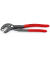 Schlauchschellenzange 85 51 180 C atramentiert 18,0 cm
