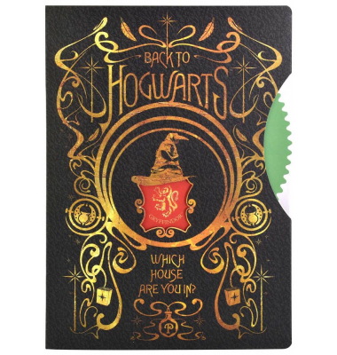 Notizbuch HP712824, Harry Potter - Spinner, schwarz, A5, liniert, 40 Blatt / 80 Seiten