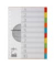 Kartonregister 32001 20, 225 g/m²