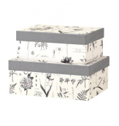 Geschenkkarton Botanicals