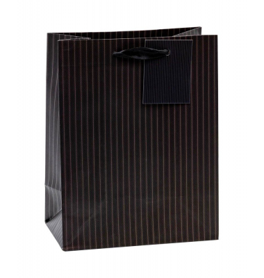 Geschenktasche 86010-SG Nadelstreifen, allgemein, Kunststoffkordel mit Karte, Nadelstreifen, 18cm x 23cm
