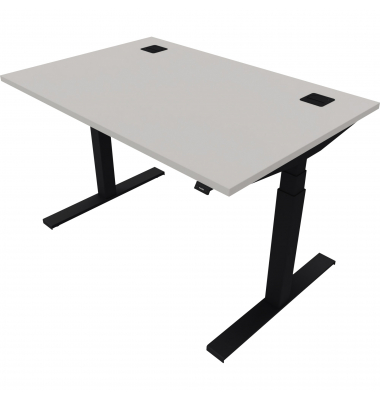 Schreibtisch eModel 2.0, elektrisch höhenverstellbar, 65-130cm (H), 120x80cm (BxT), rechteckig, platinum / jet schwarz
