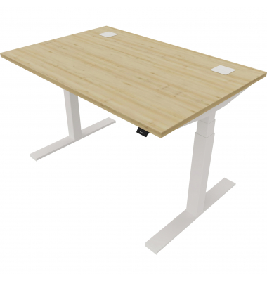 Schreibtisch eModel 2.0, elektrisch höhenverstellbar, 65-130cm (H), 120x80cm (BxT), rechteckig, buche / weiß